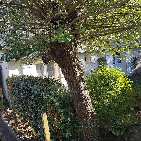 Maison Des Dunes L'echappee Belle - 3 ברנוויל-קרטרט